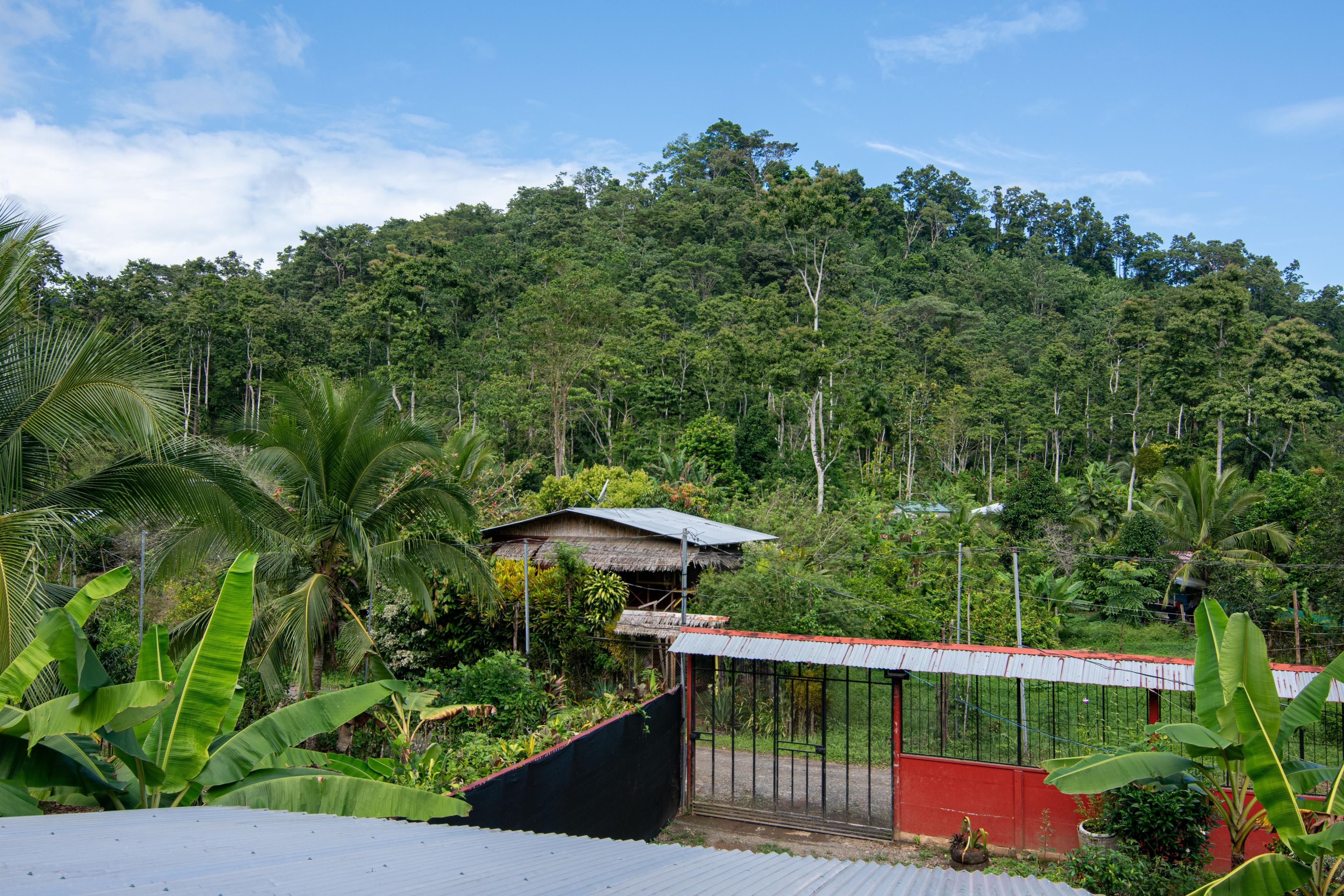 Fachada Principal de Apartamentos Studio en Hone Creek