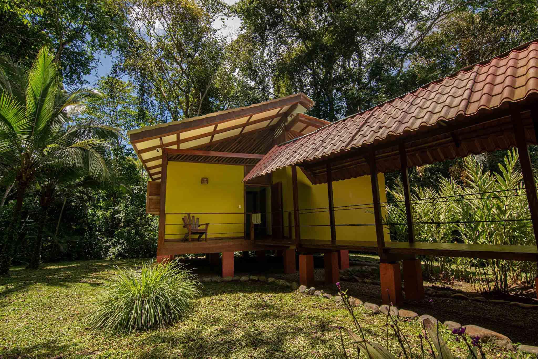 Propiedad de 2.5 Hectáreas con Casa y Cabaña en Carbón 1