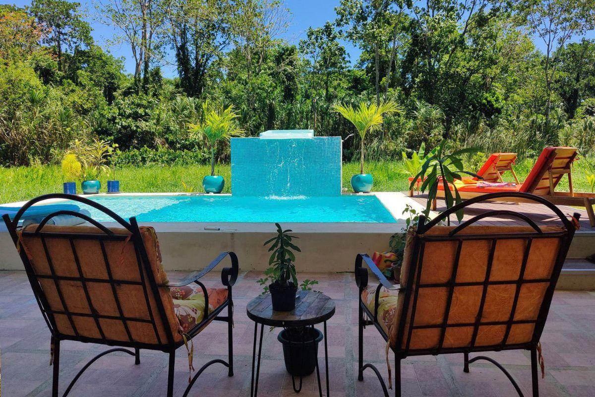 Piscina con dos sillas de descanso y fondo de selva densa en una propiedad de lujo.